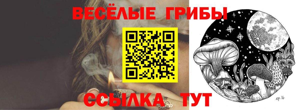 Псилоцибиновые грибы мицелий  Вход с VPN  Черемхово 